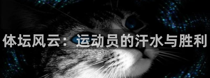 雨燕360体育nba季前赛