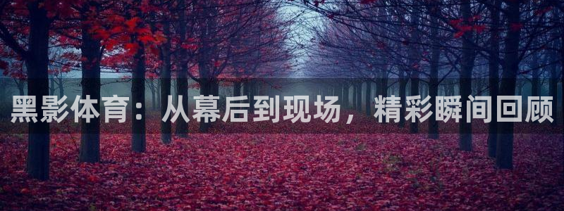 雨燕ufc直播在线直播