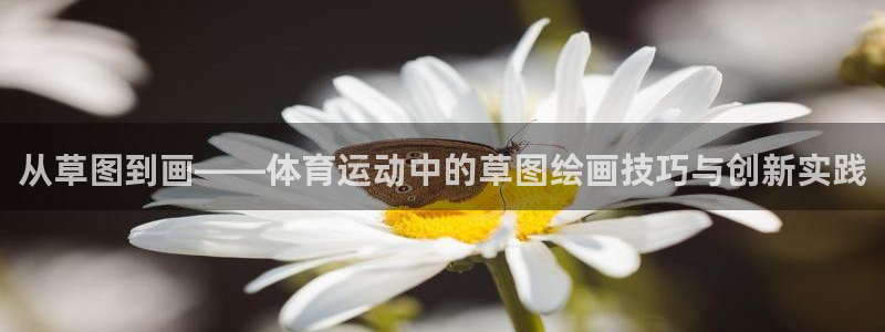 雨燕obd连接不上