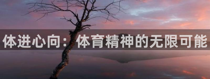 雨燕tv直播