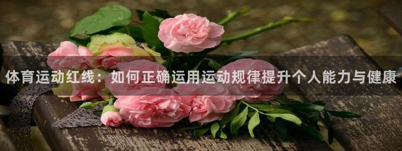 雨燕篮球直播免费视频直播