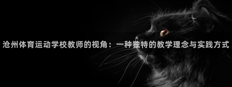 雨燕360体育免费直播：沧州体育运动学校教师的视角：一种独特的教学理念与实践方式
