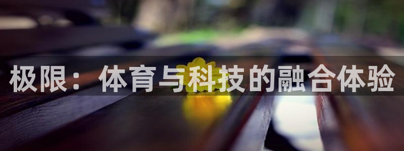 蜘蛛体育和雨燕直播对比：极限：体育与科技的融合体验
