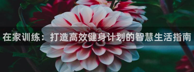 雨燕u23亚洲杯韩国对越南决赛