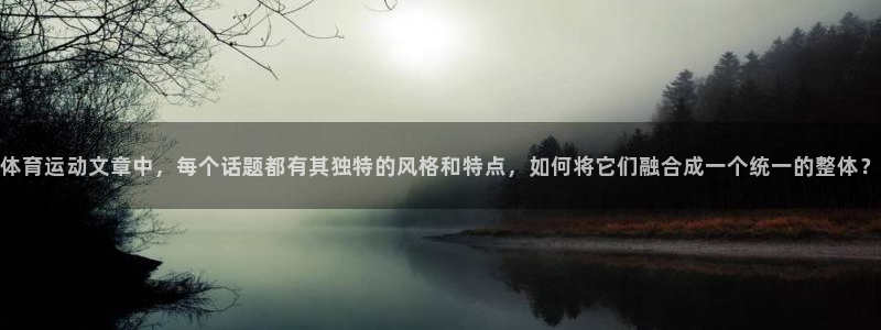 雨燕足球直播：体育运动文章中，每个话题都有其独特的风格和特点，如何将它们融合成一个统一的整体？