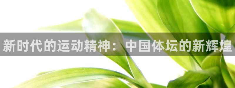 雨燕回放录像NBA：新时代的运动精神：中国体坛的新辉煌
