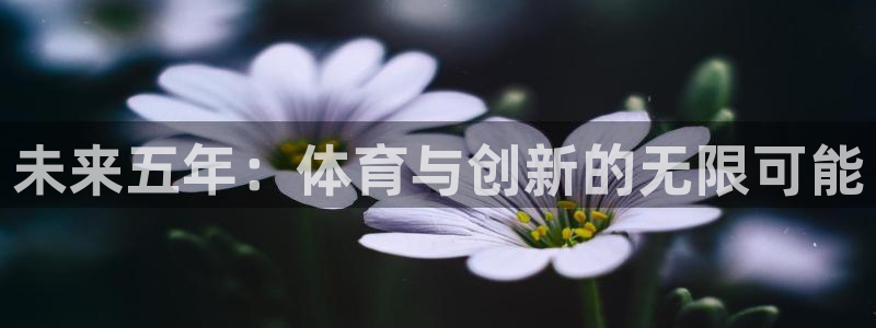 雨燕usb接口图解